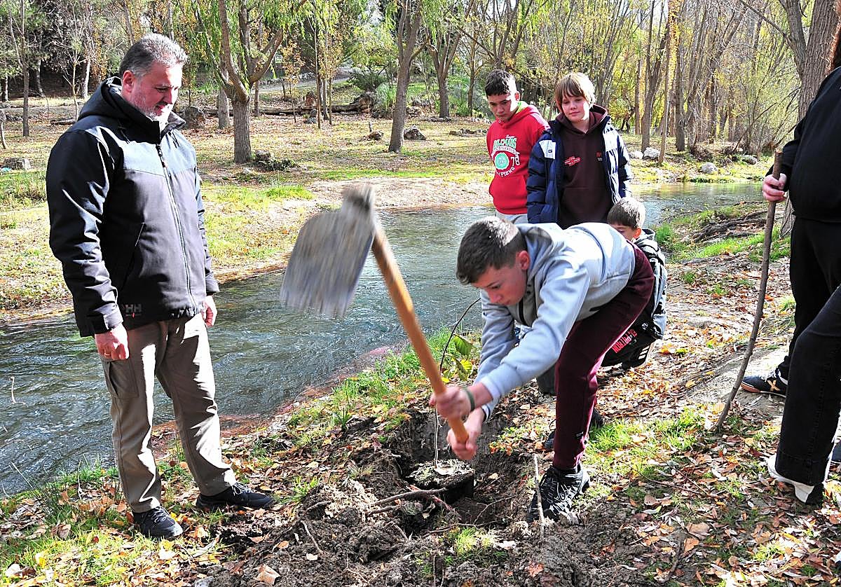 La Junta impulsa la conservación del olmo de montaña en Castril con la plantación de 45 nuevos ejemplares