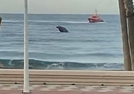 El objeto sobresalía del agua, despertando la curiosidad de muchos paseantes.