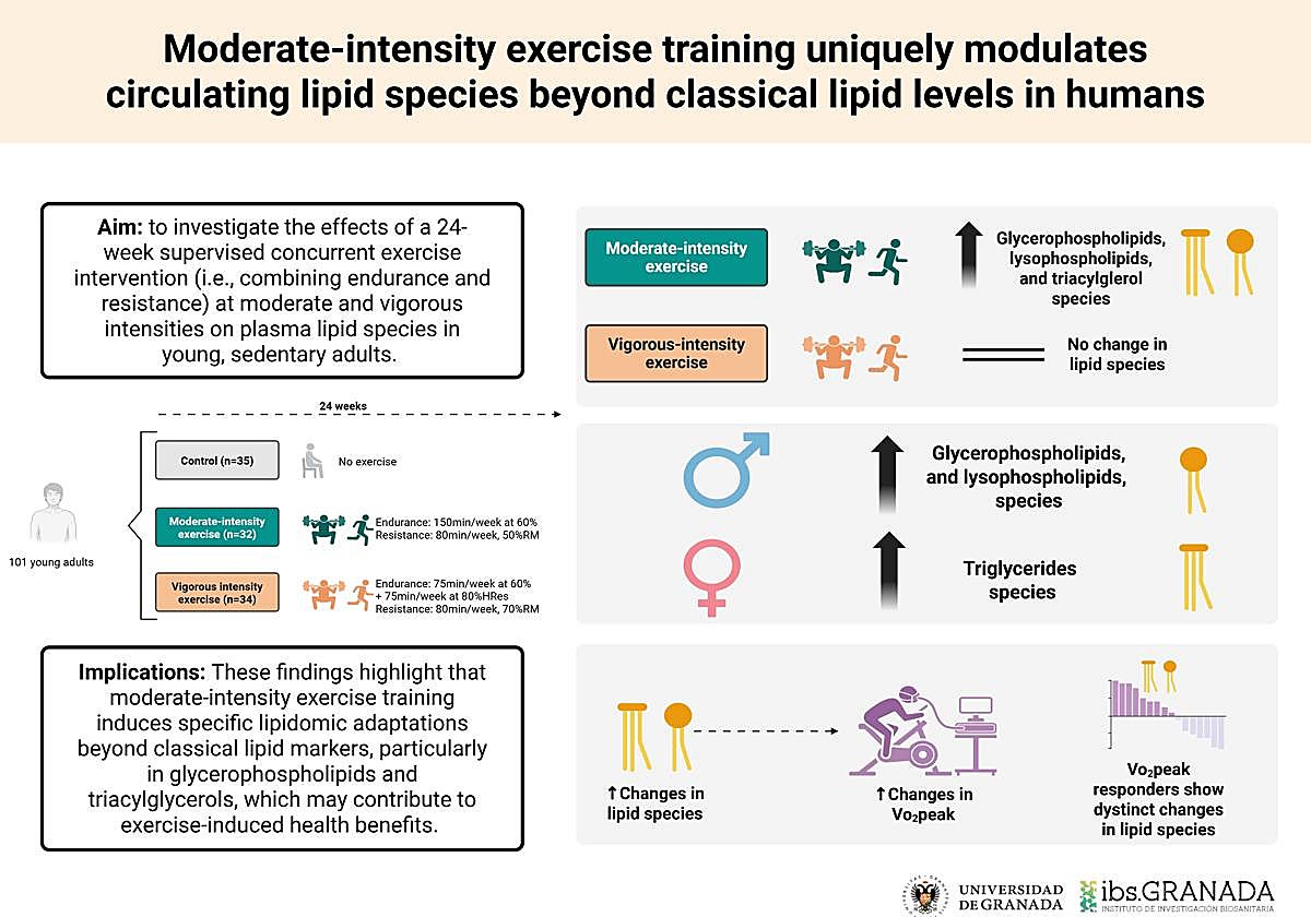 Una investigación de la UGR revela que el ejercicio físico moderado tiene grandes beneficios en las grasas de la sangre