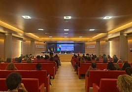 Almería refuerza la respuesta sanitaria ante la violencia de género con unas jornadas provinciales dirigidas a profesionales