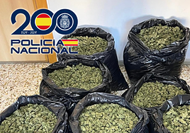Marihuana intervenida por la Policía Nacional en Matagorda.