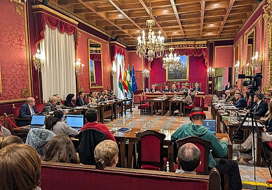 Pleno de Granada este viernes.