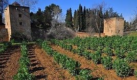Casa de la Huerta Colorá en el Generalife .