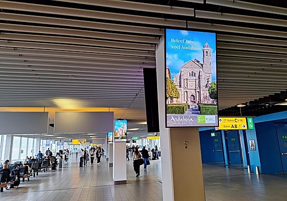 Acción promocional en el aeropuerto de Ámsterdam.