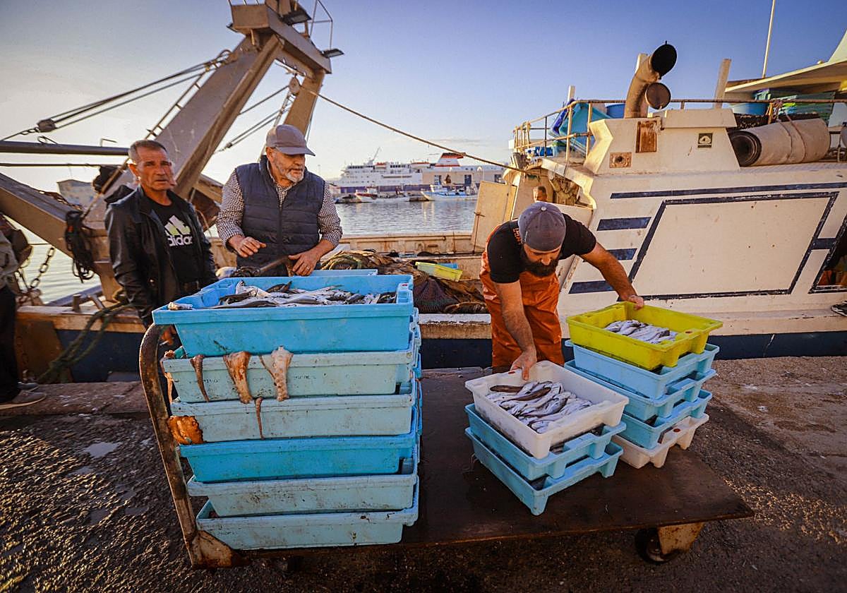 Jornada de pesca en el puerto de Motril.