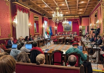 El PSOE fuerza una comisión extraordinaria sobre la crisis en la Policía Local