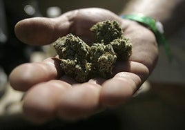 Imagen de archivo de marihuana.