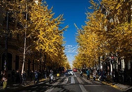 Imagen otoñal que ofrece Gran Vía estos días.