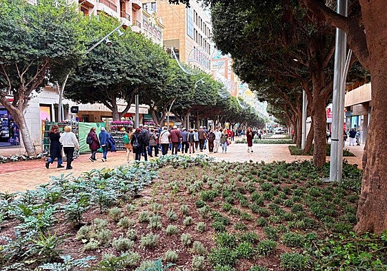 Nuevo aspecto del Paseo de Almería
