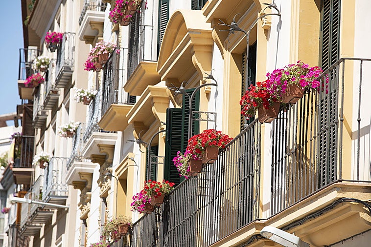 ¿Es legal colocar macetas en el balcón? La Ley de Propiedad Horizontal lo aclara