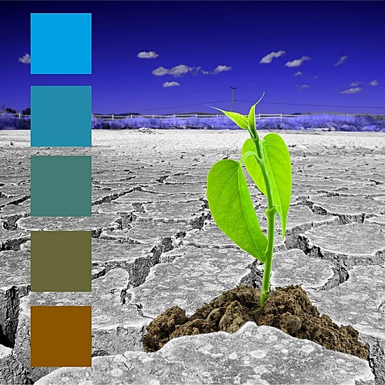 Más del 68% del terreno de la provincia de Granada está en riesgo de desertificación