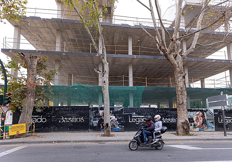 Árboles históricos y pisos de lujo: ¿quién invade a quién?