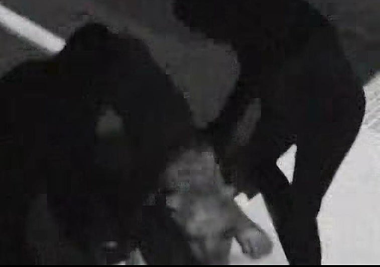 ¿Han robado la pantera de Ventas de Huelma un 28 de diciembre?