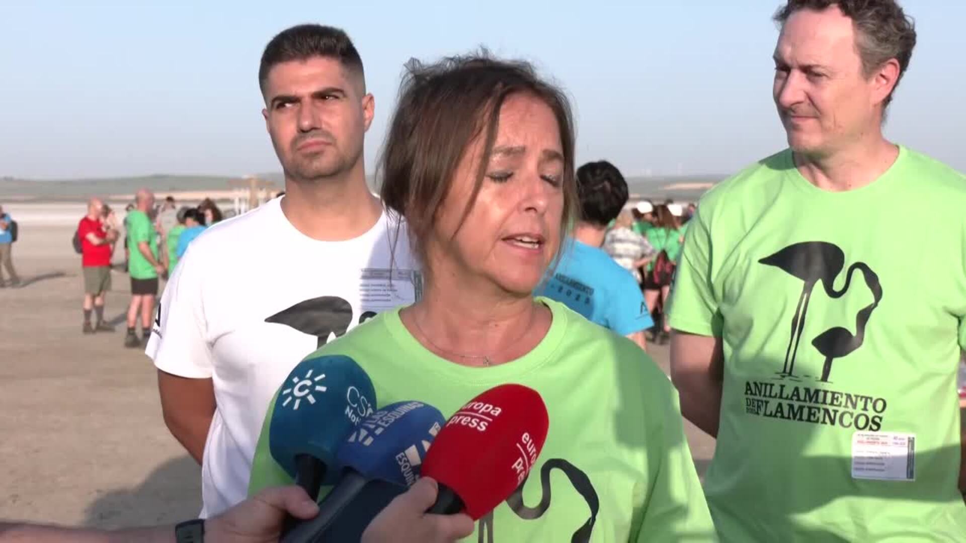 Anillan 600 pollos de flamenco en la Laguna de Fuente de Piedra que registra 22.700 nacimientos