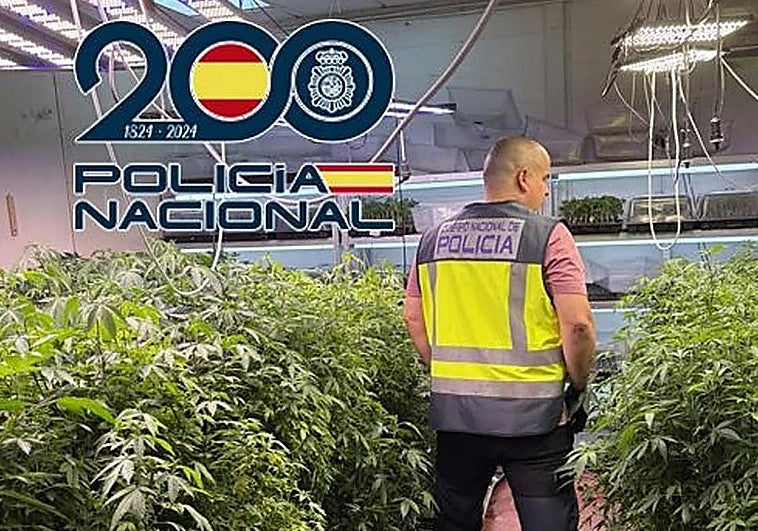 Detenida una mujer de 49 años por tener una vivienda llena de marihuana en Granada