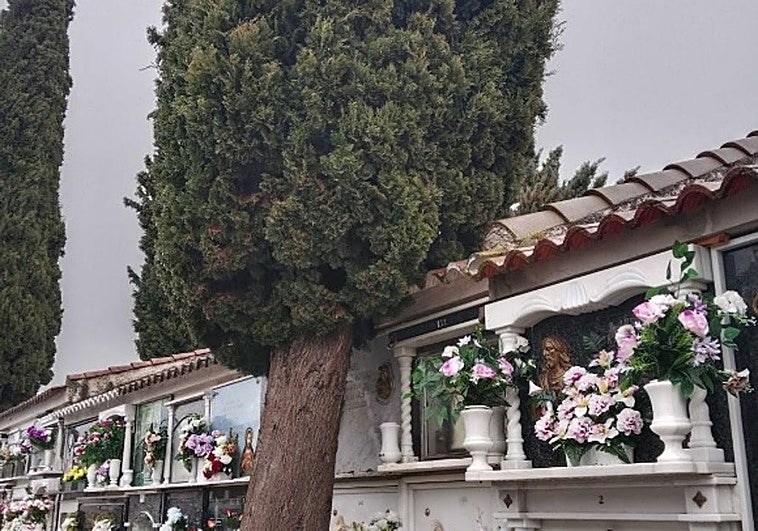 La sucesión de borrascas no respeta ni a los vivos ni a los muertos en Íllora