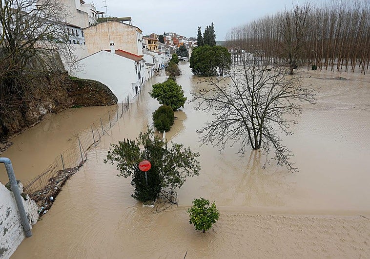 Piden medidas de seguridad en el entorno del castillo de Zagra tras desalojos por caída de piedras