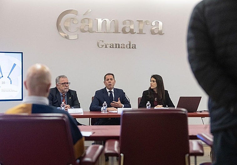 El retrato de las empresas de Granada: pequeñas, buenas en lo suyo y resignadas