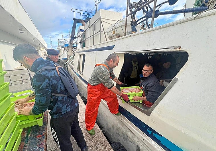 Los pescadores vuelven a faenar y se encuentran un caladero lleno de basura