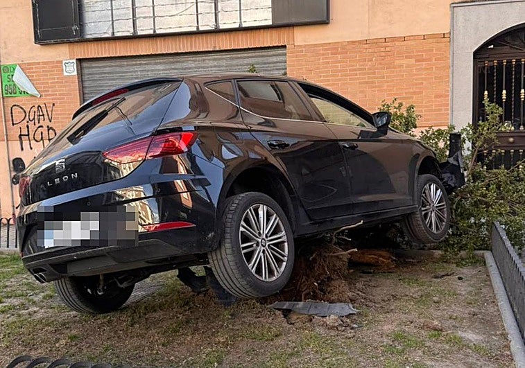 Un árbol salva la vida de un conductor y evita que impacte contra un edificio en Maracena