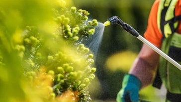 Tipos de fertilizantes: usos y beneficios en agricultura