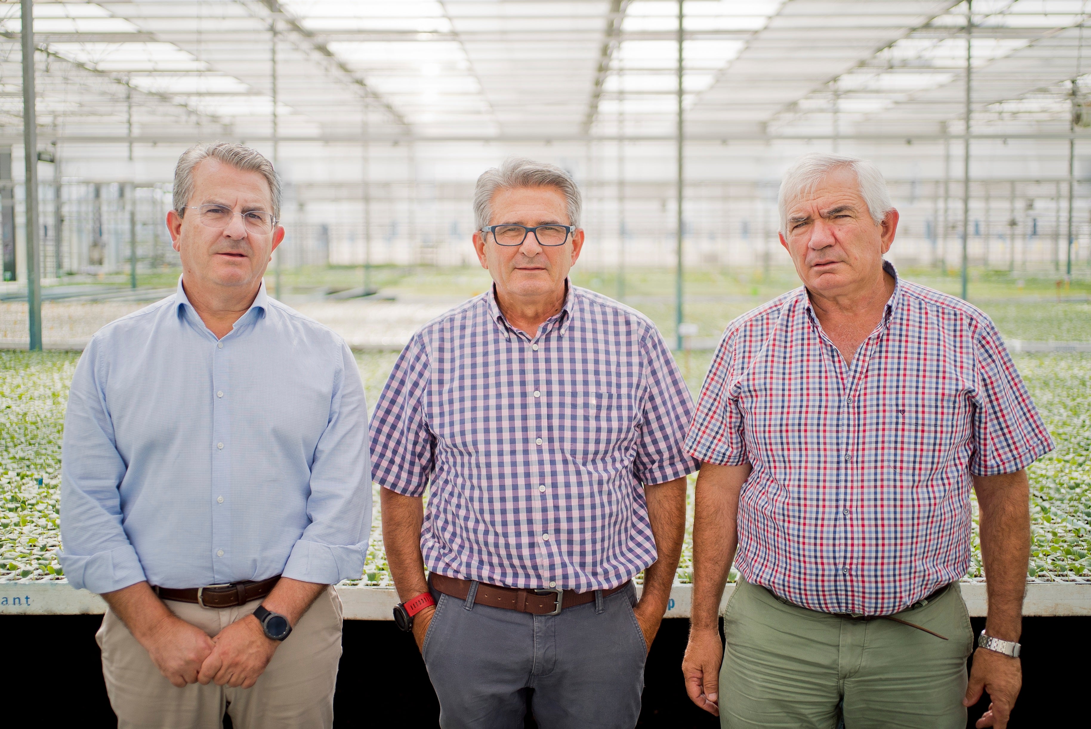 La empresa de Granada que reduce el estrés de las plantas con tecnología de control climático