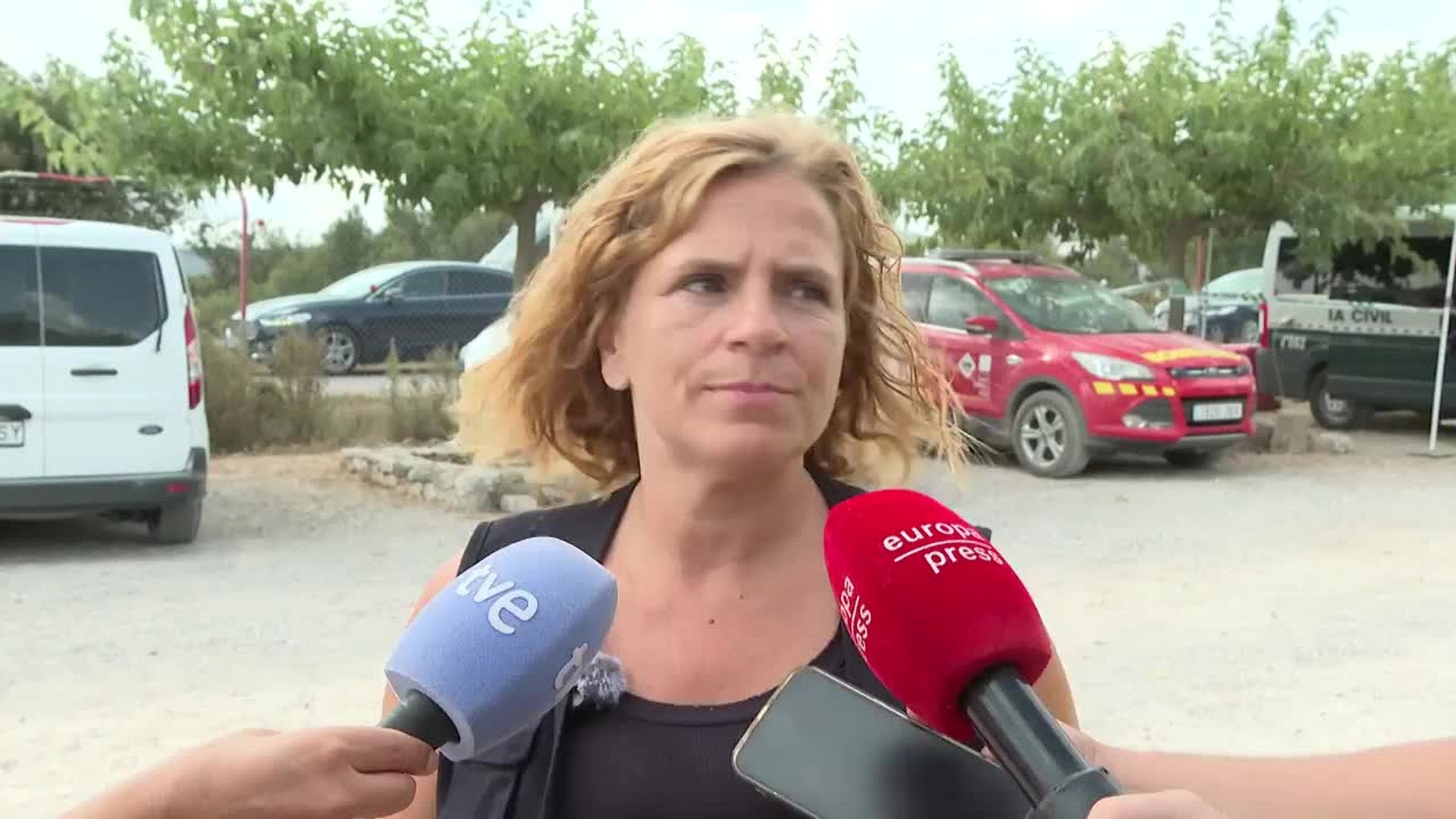 Bernabé confirma "el buen trabajo" de extinción la pasada noche en el incendio de Tírig