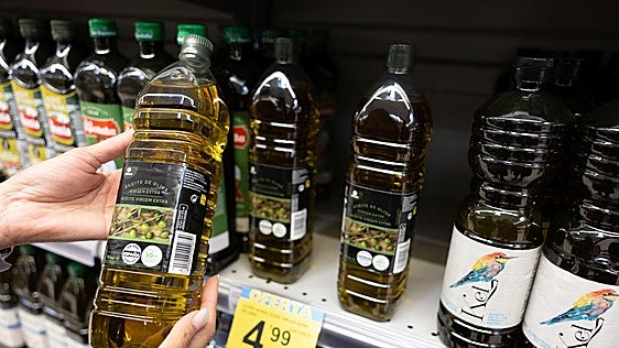 El aviso de los expertos del sector por el precio del aceite de oliva: «Nuestros productores no compiten en igualdad de condiciones»