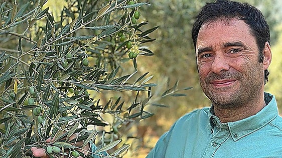 El aviso del experto Antonio Velasco sobre el precio del aceite de oliva: «Estamos preocupados»