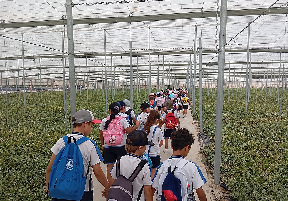 Escolares durante una de las visitas a las fincas de cultivo ecológico de Campojoyma.