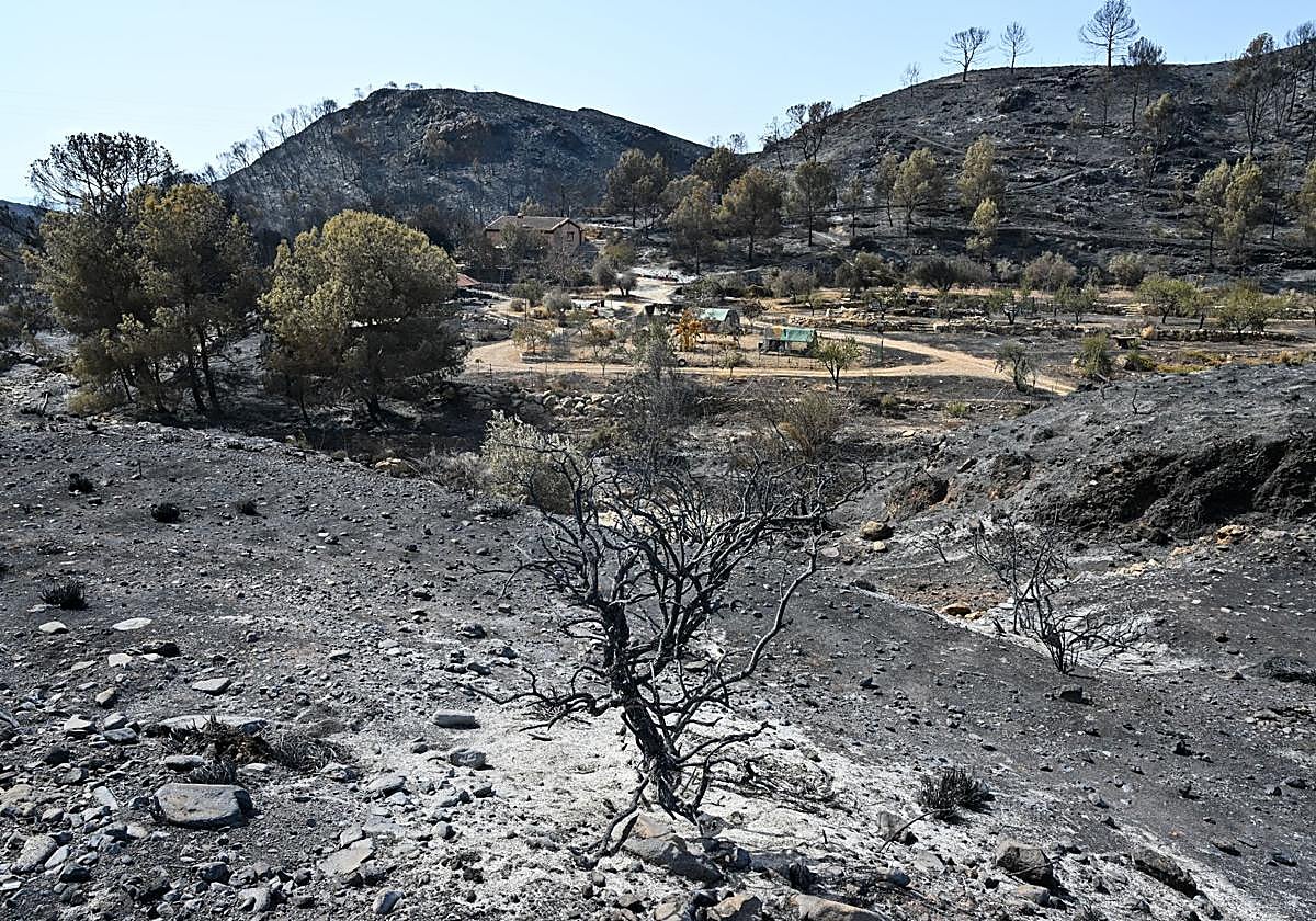 El incendio se estanca con «perspectiva favorable» para su estabilización