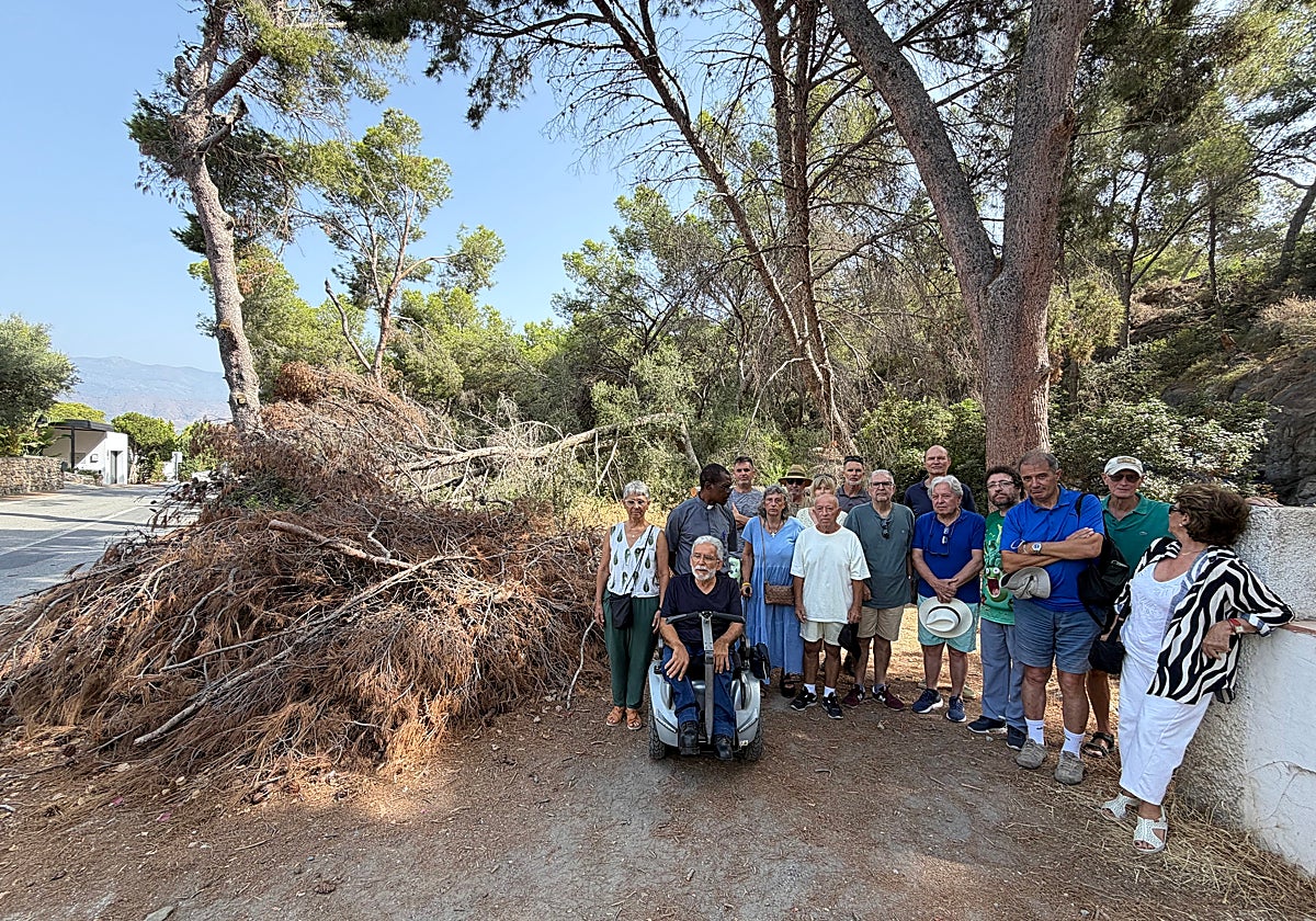 Los vecinos junto a los pinos caídos y la maleza en la Punta de la Mona.