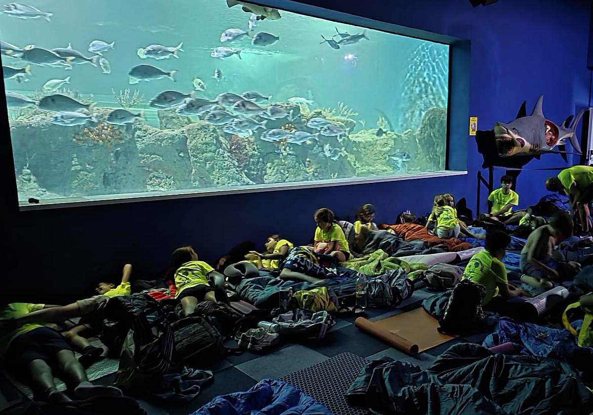 Medio centenar de jóvenes duermen entre tiburones en el Acuario de Almuñécar