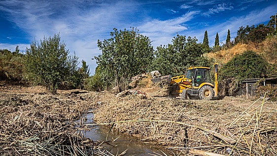Una limpieza histórica en el río Beiro