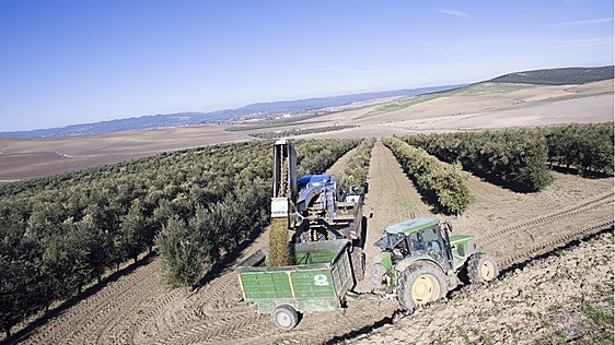 El gasóleo pone contra las cuerdas al campo: más de 400 euros por llenar el depósito de un tractor