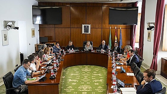 Ceuta versus el cáncer de mama: el Parlamento encalla en la crispación
