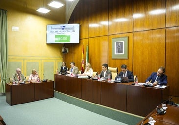 Un momento de la celebración de la comisión parlamentaria de Hacienda.