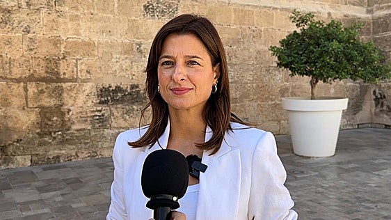 «Ya era hora»: el PSOE avala el plan para reducir torres en el soterramiento y critica que llegue con «retraso»