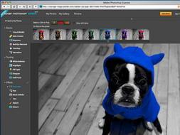 Así será el soporte del nuevo software de Adobe para Internet en una versión exprés./ AP