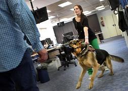 Charlie, en plena acción. / Foto: A. Ferreras | Video: V. Carrasco