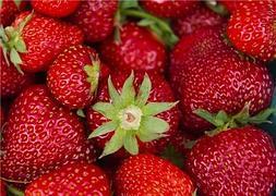 Las fresas figuran en la lista de alimentos que contribuyen a sentirse sexy por sus características nutricionales. / Archivo