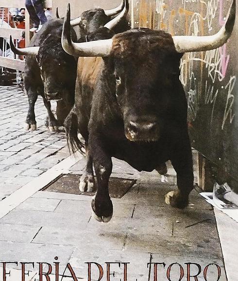 Cartel de las corridas de toros de San Fermín 2016.