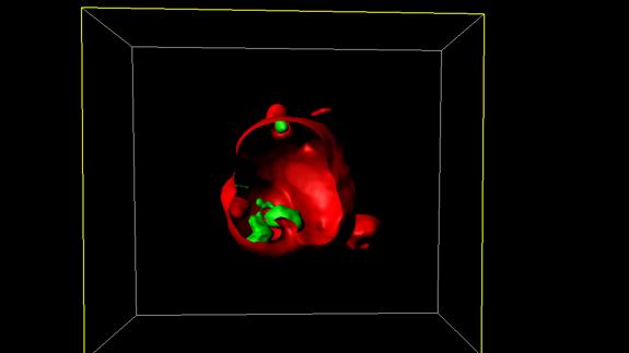 Imágenes de las nanocápsulas.