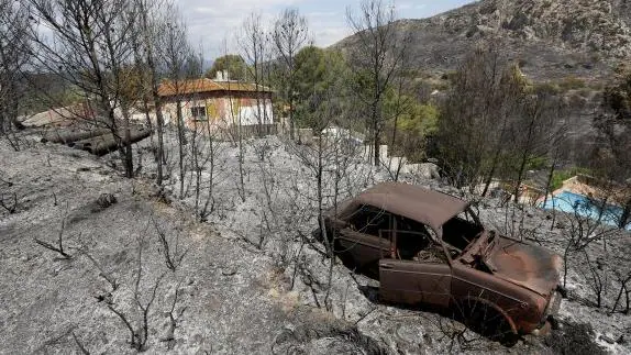 El fuego afectó a un vehículo y las parcelas de la urbanización Monte Campo de Carcaixent.