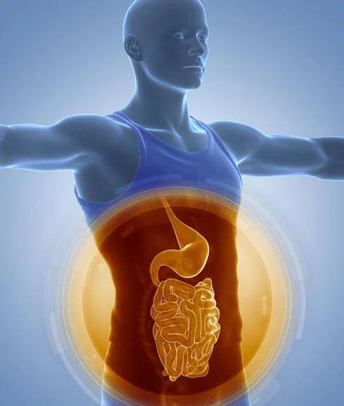 Cuando los músculos del intestino 'olvidan' cómo movilizar la materia fecal  se da el estreñimiento, uno de los factores de riesgo del impacto fecal. 