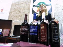 Almería logra en quince años tres indicadores de nuevos vinos