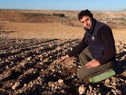 TRUFICULTURA. Luis Ramírez en la tierra accitana donde está viendo prosperar sus frutos. T. FANDILA