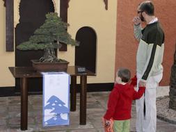 Un hombre visita con su hijo el Jardín Museo del Bonsái de Almuñécar, en la céntrica "plaza de Marruecos". /EFE