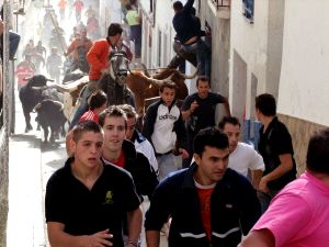 Un novillo se escapa en los encierros de La Peza y hiere a dos personas