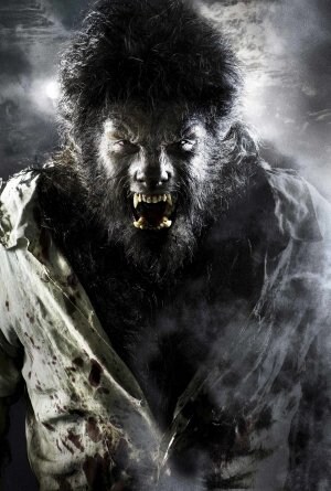 El actor y cineasta Benicio del Toro, caracterizado como el hombre lobo para la nueva película de Joe Johnston.:: IDEAL